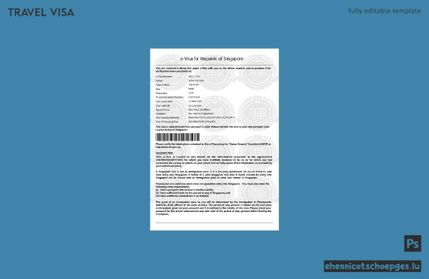 Singapur-E-Visum in Word- und PDF-Formaten – Beispielvorschau